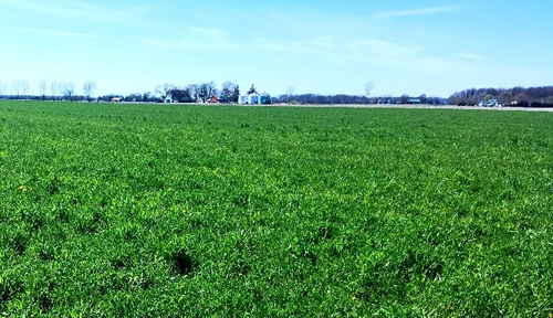 Weed Control and Resistance